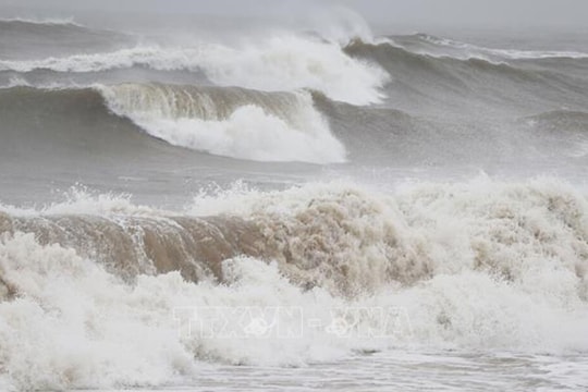 Ảnh hưởng siêu bão RAGASA: Từ đêm 22/9, gió mạnh cấp 10-13, vùng gần tâm bão cấp 14-16, giật trên cấp 17