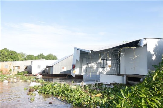 Sáu căn nhà ở Đồng Tháp bị sạt lở xuống sông Tiền