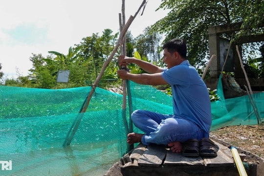 Biến cánh đồng thẳng cánh cò bay thành ao nhà để nuôi sản vật trời ban