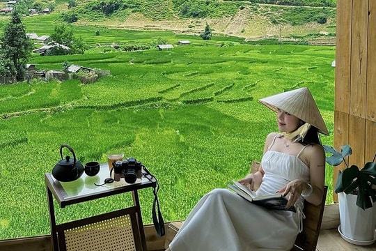 Uống cà phê ngắm lúa chín 'ngay trước mắt' ở Sa Pa