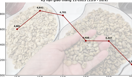 Giá cà phê hôm nay 20-9: Chốt tuần sụp mạnh