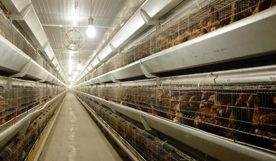 Bùng nổ IPO sau nhiều năm lặng sóng