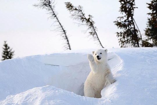 Nơi người dân không khóa cửa để chạy thoát nhanh nhất