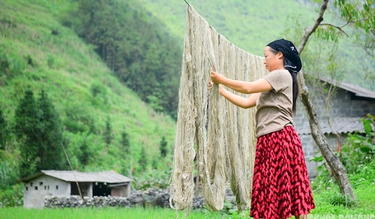 Phố Cáo - Miền cổ tích giữa cao nguyên đá Đồng Văn
