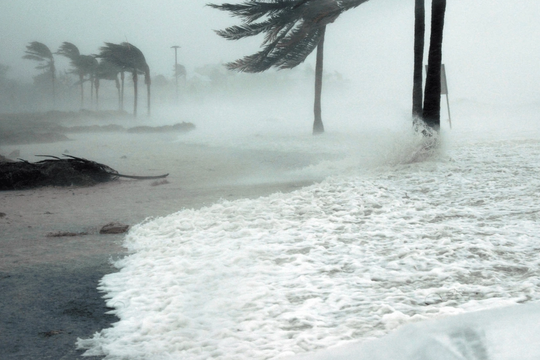 Bão Ragasa đổ bộ: Sân bay Hong Kong đóng cửa, Philippines sơ tán hàng ngàn người