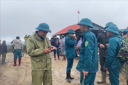 Cụ ông 78 tuổi mất tích khi đi hái nấm trong rừng