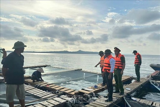 Các đồn Biên phòng tại Cô Tô dốc sức phòng chống bão số 9