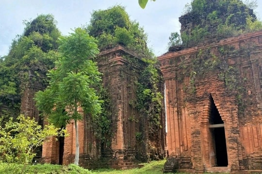 Tháp chăm nghìn tuổi mới trùng tu, gạch đã mủn nát