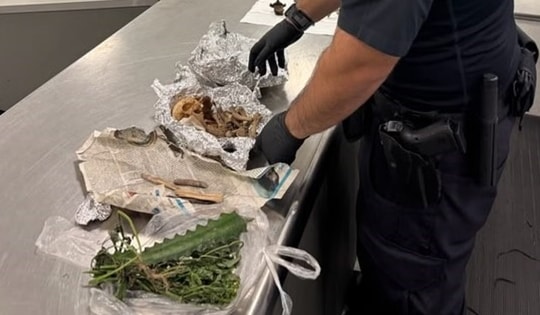 Phát hiện hài cốt người trong hành lý tại sân bay