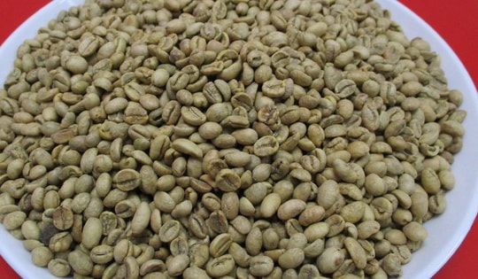 Giá cà phê hôm nay 22-9: Có tăng trở lại?