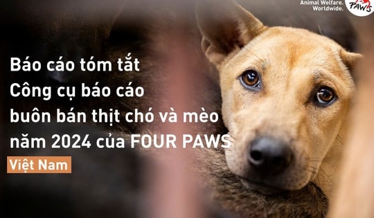 Trộm cắp thú cưng là hành vi bị báo cáo nhiều nhất tại Việt Nam