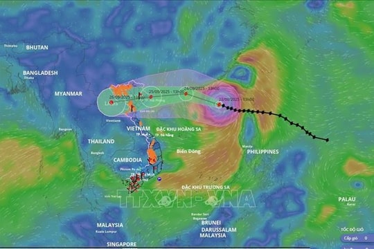 Bộ Công Thương chỉ đạo khẩn ứng phó siêu bão RAGASA