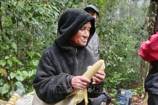 Tìm thấy ông cụ 78 tuổi lạc nhiều ngày trong rừng ở Lâm Đồng
