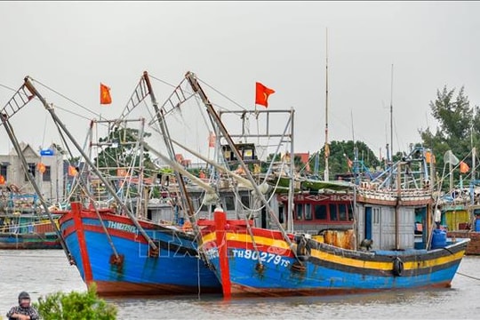 Thanh Hóa kêu gọi tàu thuyền tránh trú, ứng phó siêu bão RAGASA