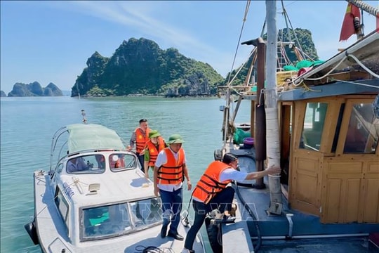 Ứng phó bão số 9: Vân Đồn kích hoạt ở cấp độ cao nhất