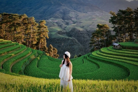 Mù Cang Chải mùa đẹp nhất: Nhiều nơi “cháy phòng”, khách đặt trước nửa năm