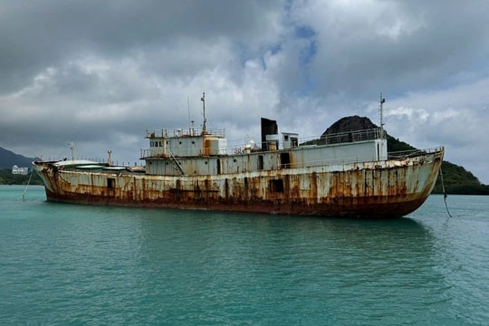 TP HCM bác đề xuất đánh chìm tàu hàng làm điểm lặn ở Côn Đảo