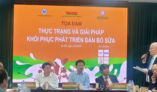 Chuyện gì đang xảy ra ở nhiều "thủ phủ bò sữa"?