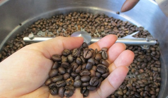 Giá cà phê hôm nay 23-9: Bật tăng 3 con số