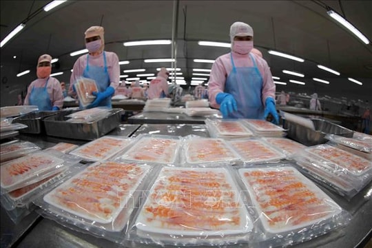 Chiến lược ứng phó thách thức của thuỷ sản Việt Nam