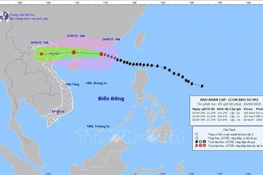 Bão đi vào phía Nam tỉnh Quảng Đông (Trung Quốc) và giảm cấp, không còn cấp siêu bão