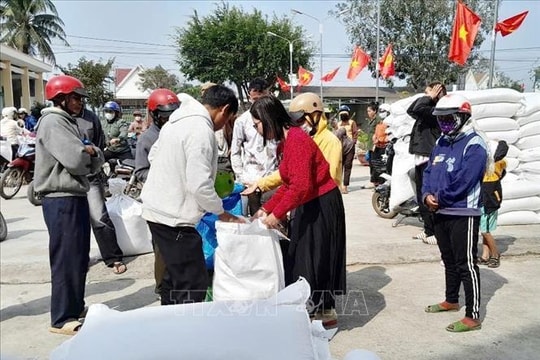 Hoàn thành kế hoạch đấu thầu 200.000 tấn gạo dự trữ quốc gia