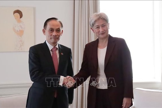 Việt Nam tăng cường quan hệ với Australia, Nicaragua và Gruzia