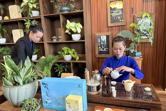 Văn hoá trà mở lối phát triển du lịch cao cấp cho TP Hồ Chí Minh và Lâm Đồng