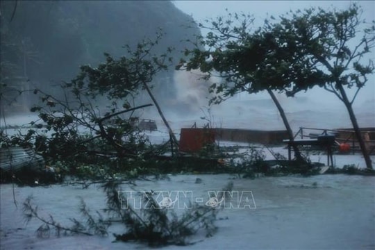 Từ kinh nghiệm của YAGI đến chủ động ứng phó bão số 9