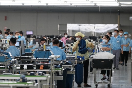 Tìm việc an toàn, tránh sập "bẫy" online với sàn việc làm quốc gia