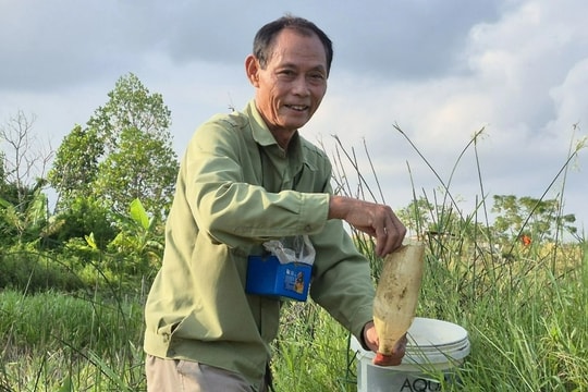 Cán bộ nghỉ hưu "ném tiền qua cửa sổ" thu hàng trăm triệu đồng/năm