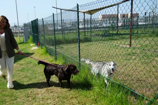 Sân bay Italy mở khách sạn cho chó cưng, có xoa bóp và nhạc thư giãn