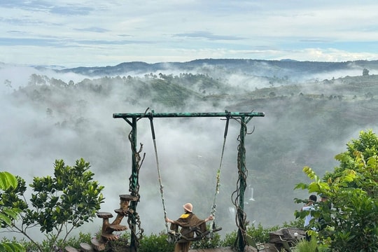 Những điểm 'săn' mây sáng sớm ở Măng Đen