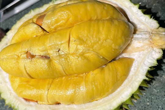 Sầu riêng Musang King cao nhất gần 300.000 đồng một kg