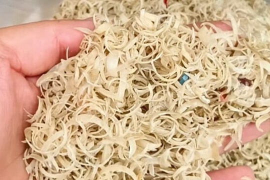 Thu mua móng tay người giá cao ở Trung Quốc