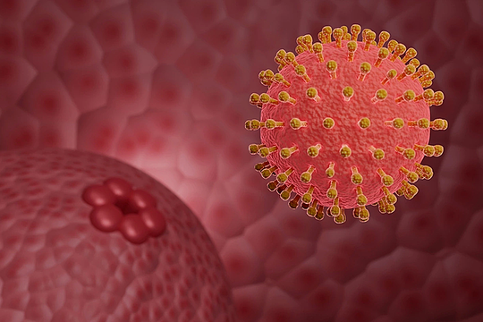 Sùi mào gà tại miệng sau oral sex