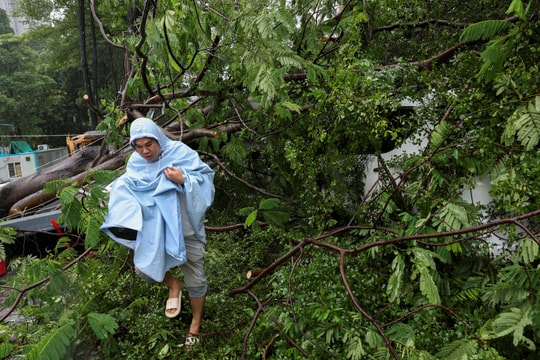 Bão Ragasa gây gió kỷ lục ở Quảng Đông