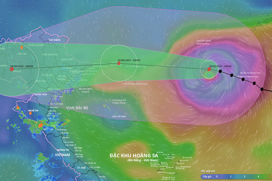 Siêu bão Ragasa cách Quảng Ninh 650 km