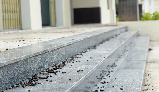 Phường ở Đà Nẵng giải thích lý do xây chợ tiền tỉ xa khu dân cư