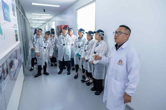 Sự tham gia của Philip Morris International vào quá trình phát triển kinh tế toàn cầu