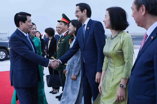 Chủ tịch nước kết thúc tốt đẹp chuyến công tác tại Đại hội đồng Liên hợp quốc