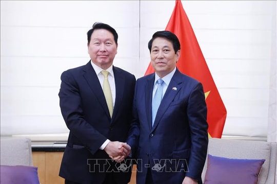 Chủ tịch nước Lương Cường tiếp Chủ tịch Tập đoàn SK Group
