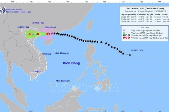 Bão số 9 suy yếu dần, bão BUALOI mạnh lên cấp 12
