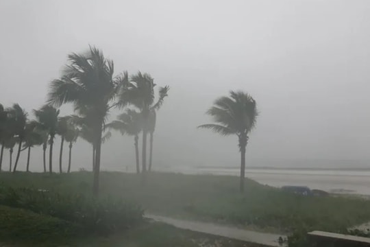 Bão số 9 suy yếu thành áp thấp nhiệt đới