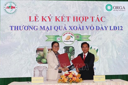 Ký kết hợp tác thương mại hóa giống xoài Cát Lộc Phát