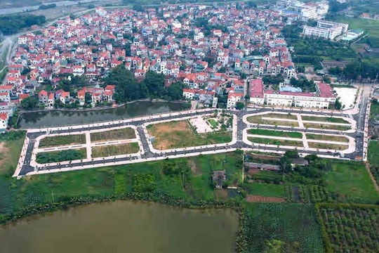 Tăng cường biện pháp xử lý tình trạng 'bỏ cọc' đấu giá đất