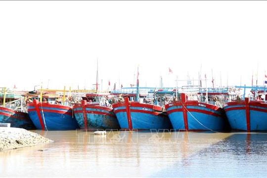 Chống khai thác IUU: Quyết liệt xử lý tàu cá '3 không'