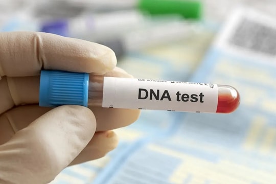 Hành trình con bị bỏ rơi đòi thừa kế từ người cha triệu phú