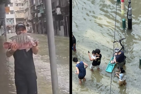 Người Macau nô nức bắt cá trên đường sau bão Ragasa