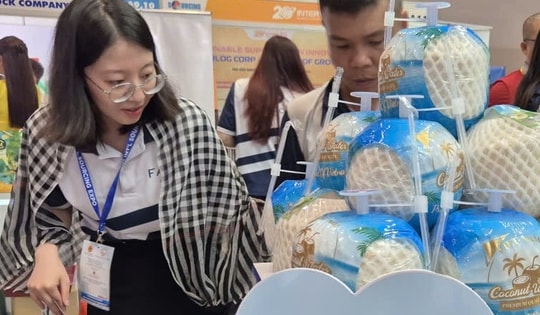 Xuất khẩu dừa của Việt Nam sang Campuchia tăng đột biến, gấp 681 lần cùng kỳ